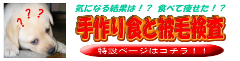 被毛検査 看板