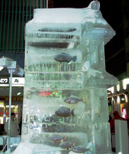 氷の中に魚