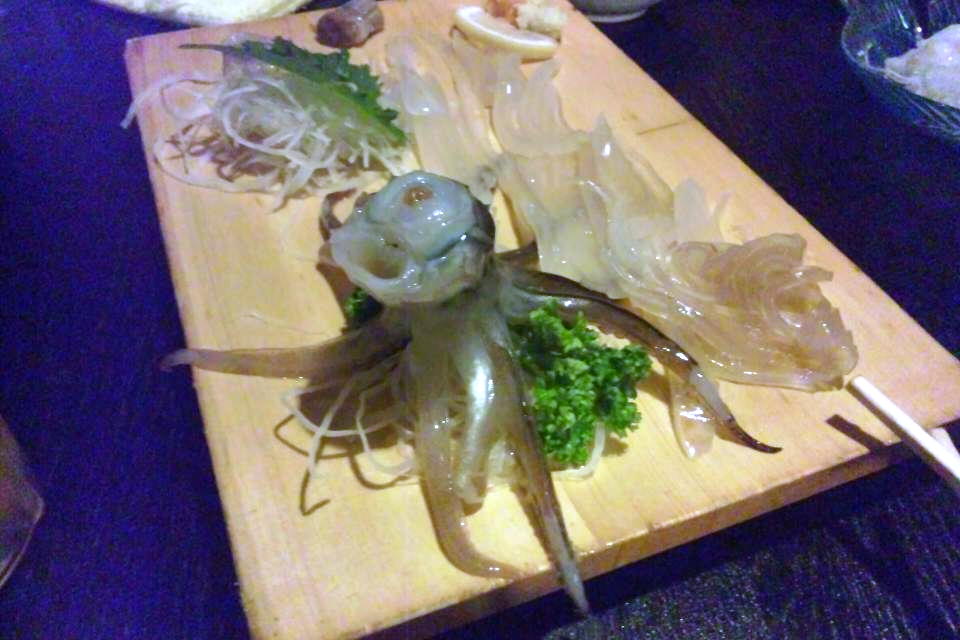 活イカ
