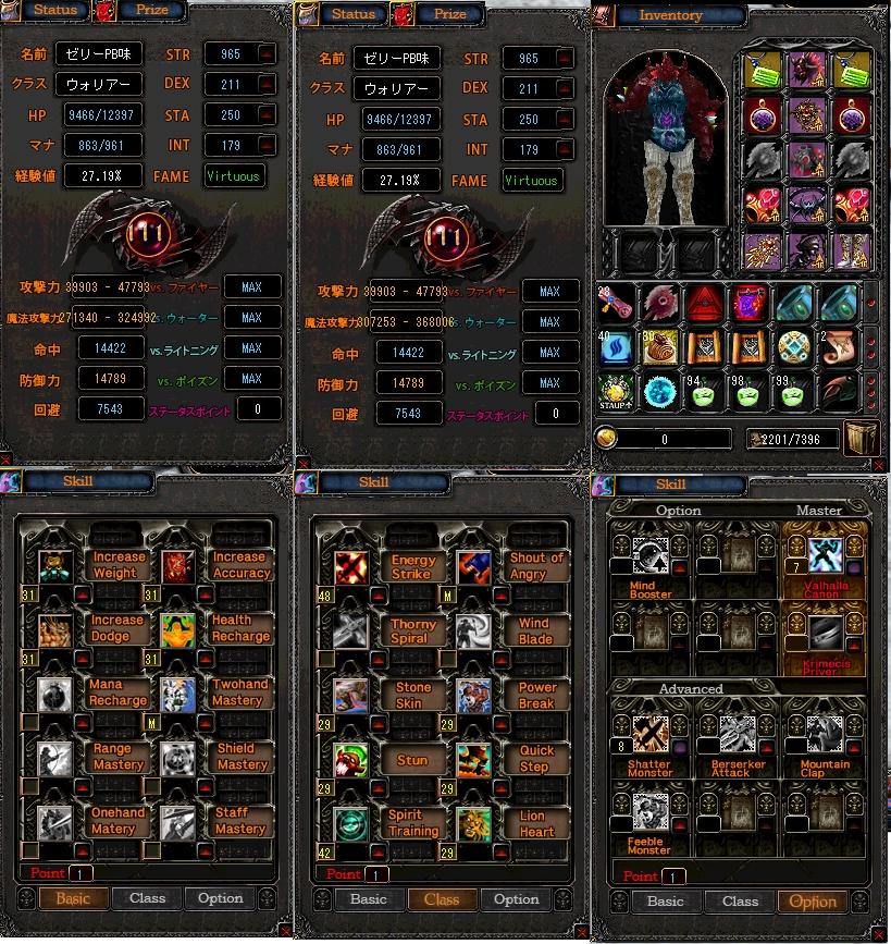 ステスキル装備