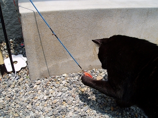 こんな天気の日は。