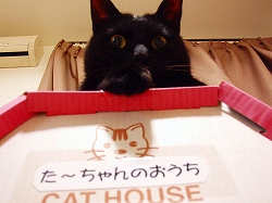 自分の場所