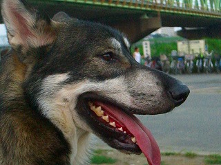 CIMG0463.jpg