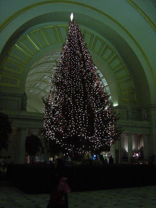 christmas tree in union station