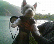 2007.5.2 奥多摩湖004