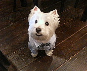 ４月15日くりちゃんと一緒NO2