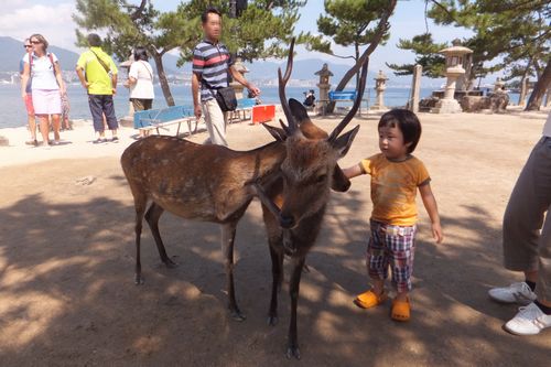 鹿と由惟さん