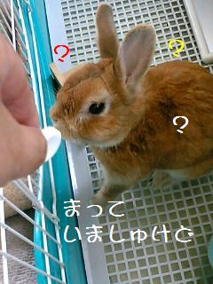 気づいてない？