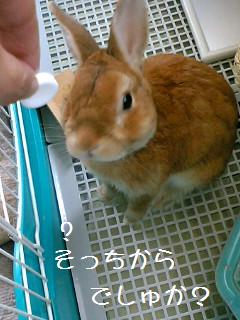 こっちでしゅか？