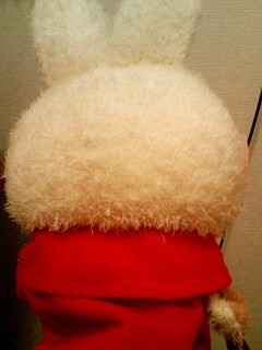 うさこ後ろ向き