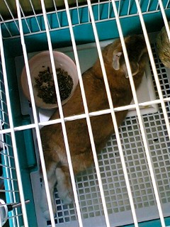 お皿とともに・・・