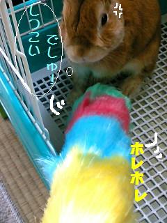 だんだんと・・・