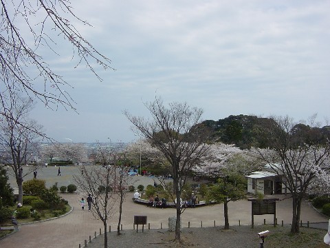 公園3