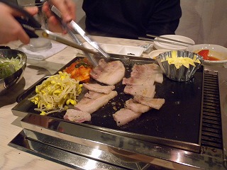 20100030331 018.jpg