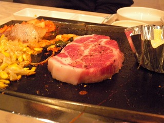 20100030331 020.jpg