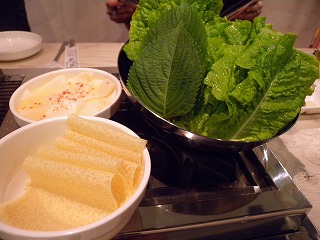20100030331 016.jpg