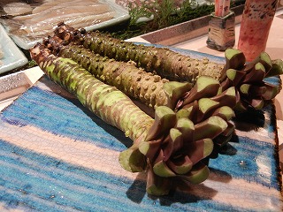 20110600230001 010.jpg