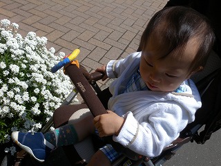 2010004016 015.jpg