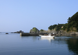 IZU_Minato