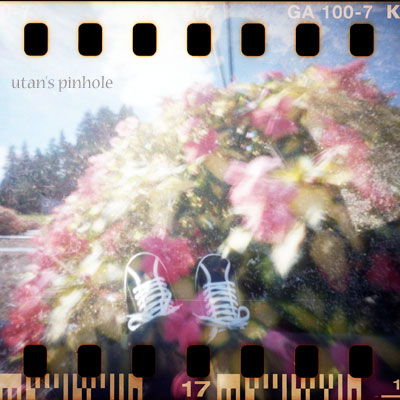 flowers and shoes