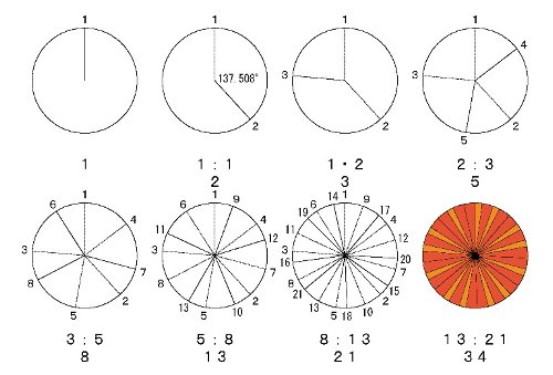 数列 フィボナッチ フィボナッチ数列の一般項と数学的帰納法