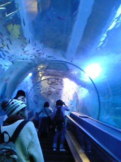 DVC00198.JPG