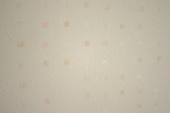 IMG_子供部屋クロス　アップ.jpg