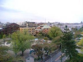 ベランダからの風景