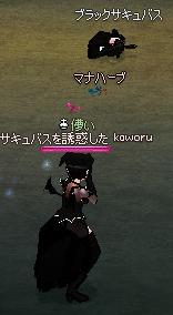 ｱｯｰ