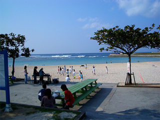 トロピカルビーチ