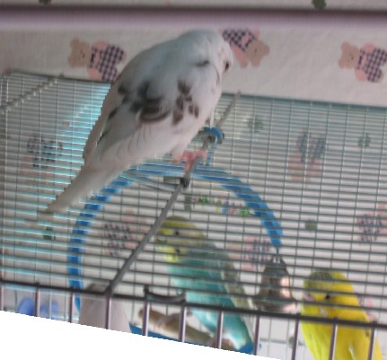 tpcmo200810a2