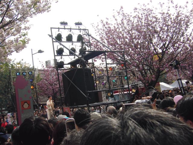 桜祭り1