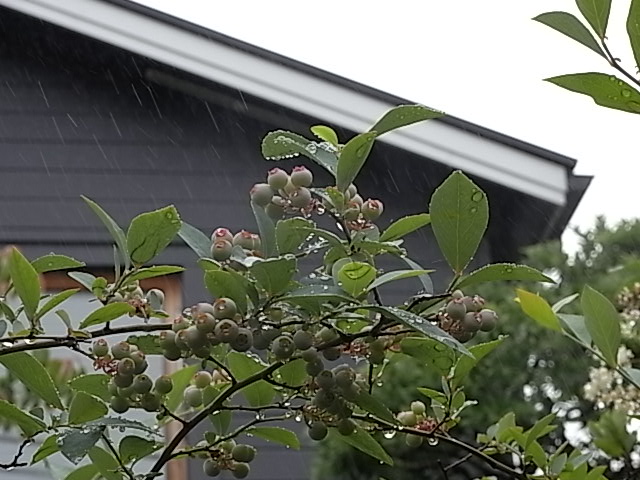 雨3