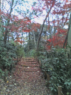 061216_133355.JPG