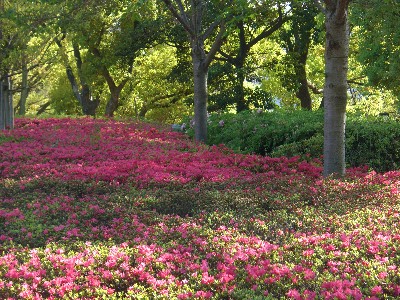 藤田邸跡公園３