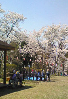 桜山公園３