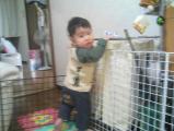 2006-11-22 おっ!届いちゃった!!