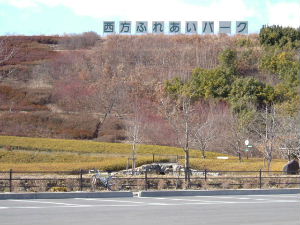 2006_0205西方ふれあい公園0014.JPG