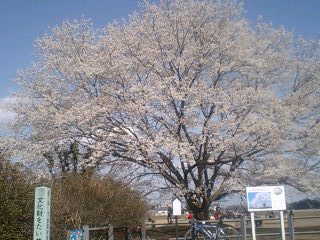 天平の丘公園