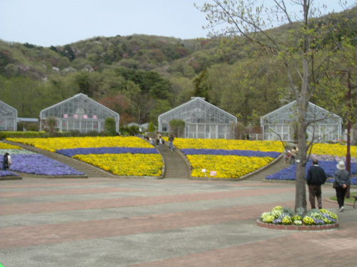 とちぎ花センター