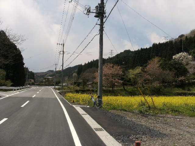 県道１７７号