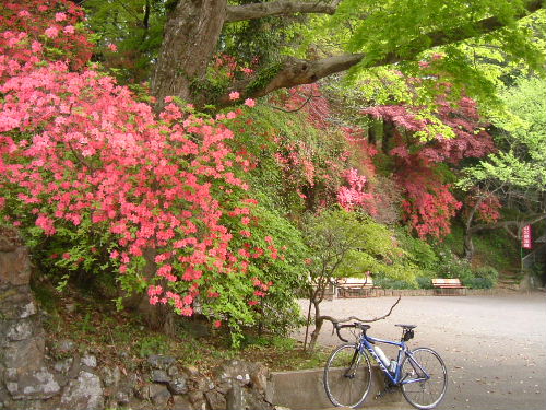 唐沢城址公園