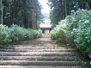 大中寺