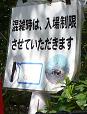 入場制限も・・.JPG