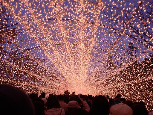 なばなの里☆光のトンネル