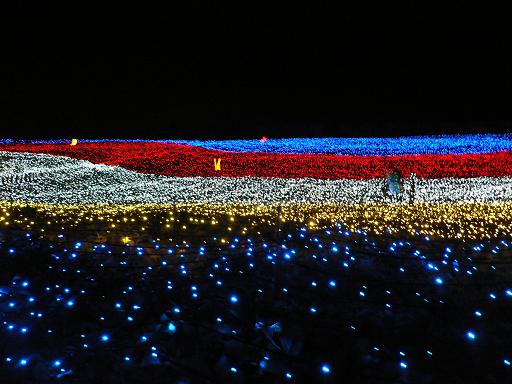 なばなの里☆光のお花畑