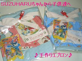 SUZUHARUちゃんから子供達へ～エプロン.JPG
