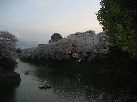 千鳥ヶ淵 382.JPG