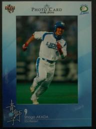 青獅子赤田ﾌｫﾄ