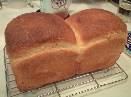 食パン1斤1